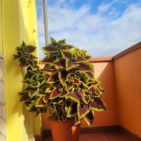 Holiday home Butterflyhouse *