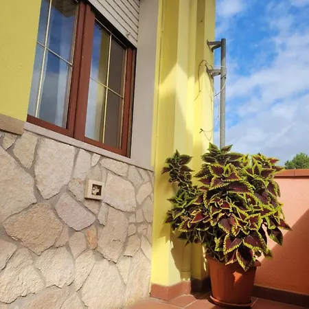 Butterflyhouse * Monserrato