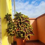 Casa de Férias Butterflyhouse *